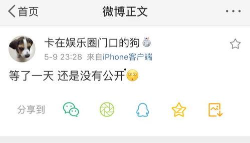 爆料吃瓜王,吃瓜王爆料，明星幕后真相大曝光！