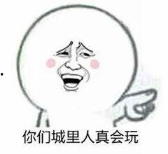 杭州今日吃瓜事件真相,真相背后的网络热议