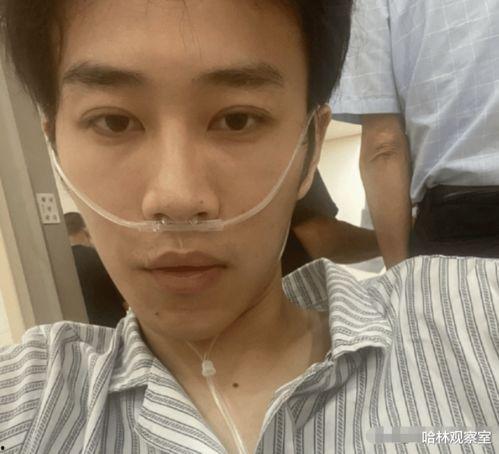 吃瓜娱乐出道女明星夫妻,吃瓜娱乐界明星夫妻的幸福旅程